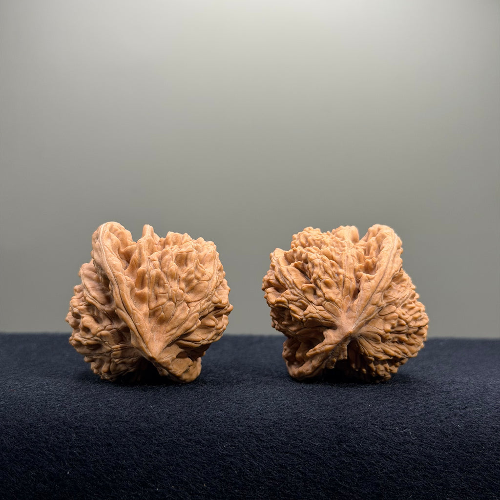 Magma Wenwan Walnut · 40mm · Natural · Select Ritual