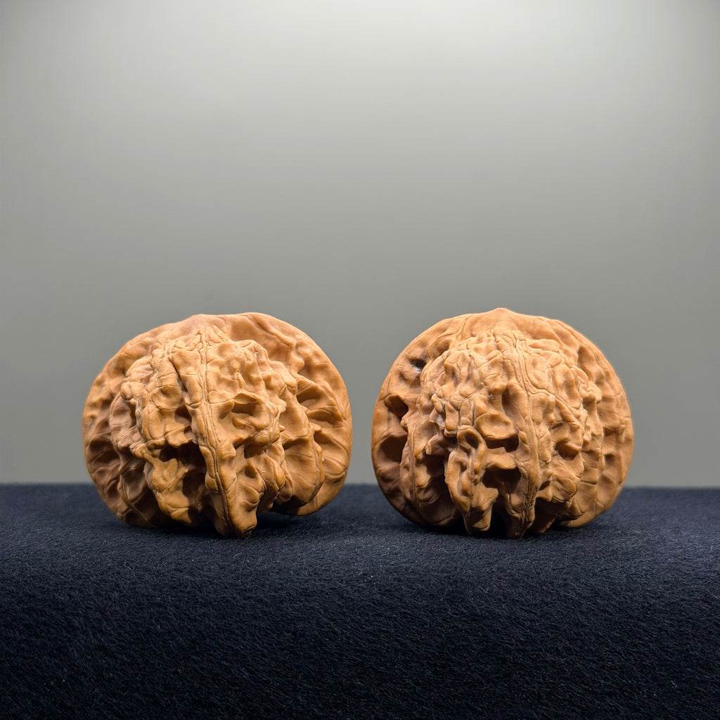 Coiled Dragon Tiger Head Wenwan Walnut · 44mm · Natural · Entry Ritual