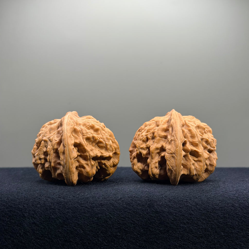 Coiled Dragon Tiger Head Wenwan Walnut · 44mm · Natural · Entry Ritual