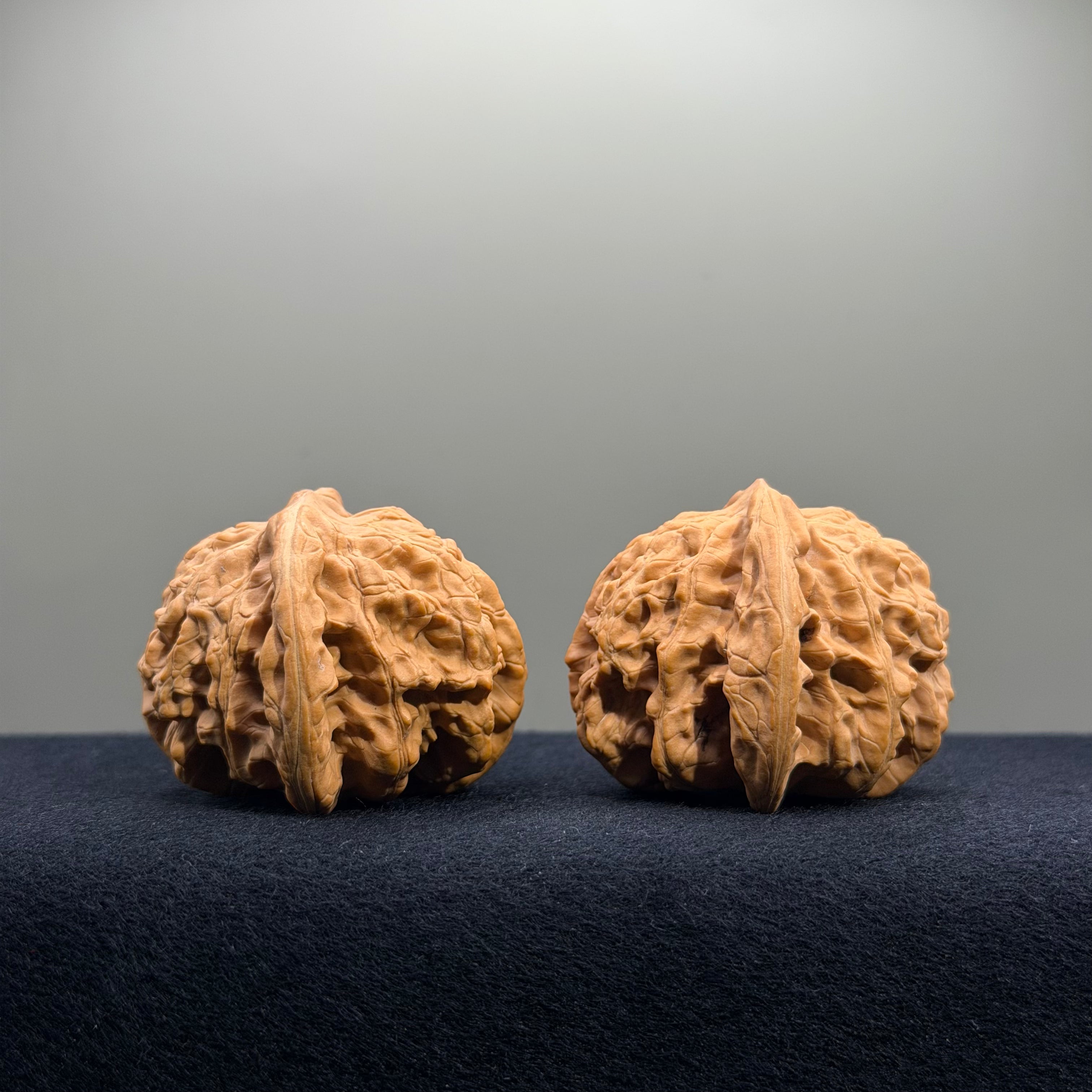 Coiled Dragon Tiger Head Wenwan Walnut · 44mm · Natural · Entry Ritual
