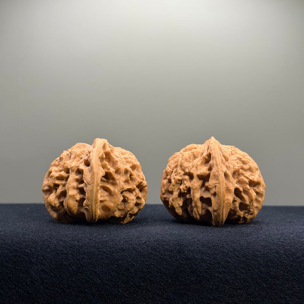 Coiled Dragon Tiger Head Wenwan Walnut · 44mm · Natural · Entry Ritual