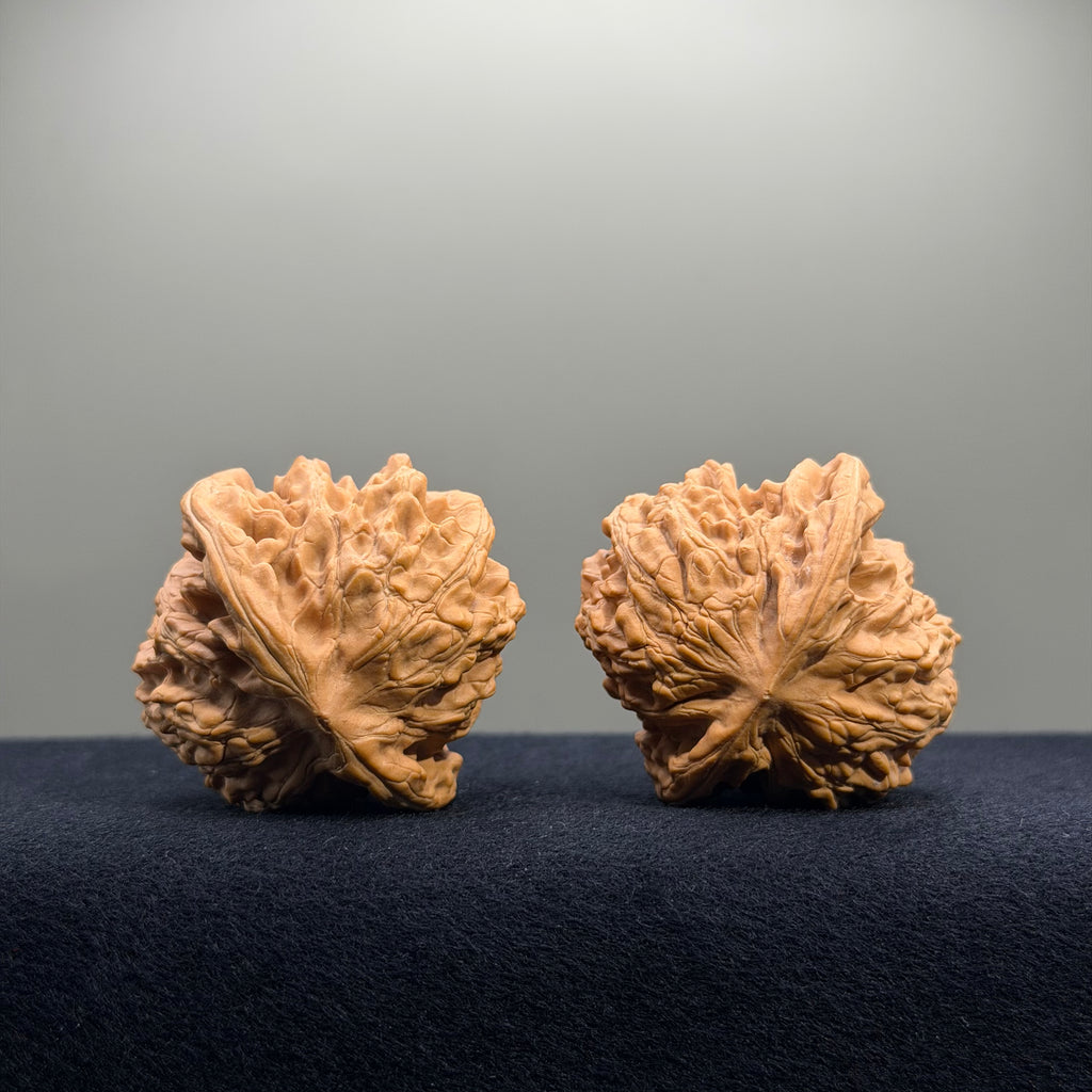 Coiled Dragon Tiger Head Wenwan Walnut · 44mm · Natural · Entry Ritual