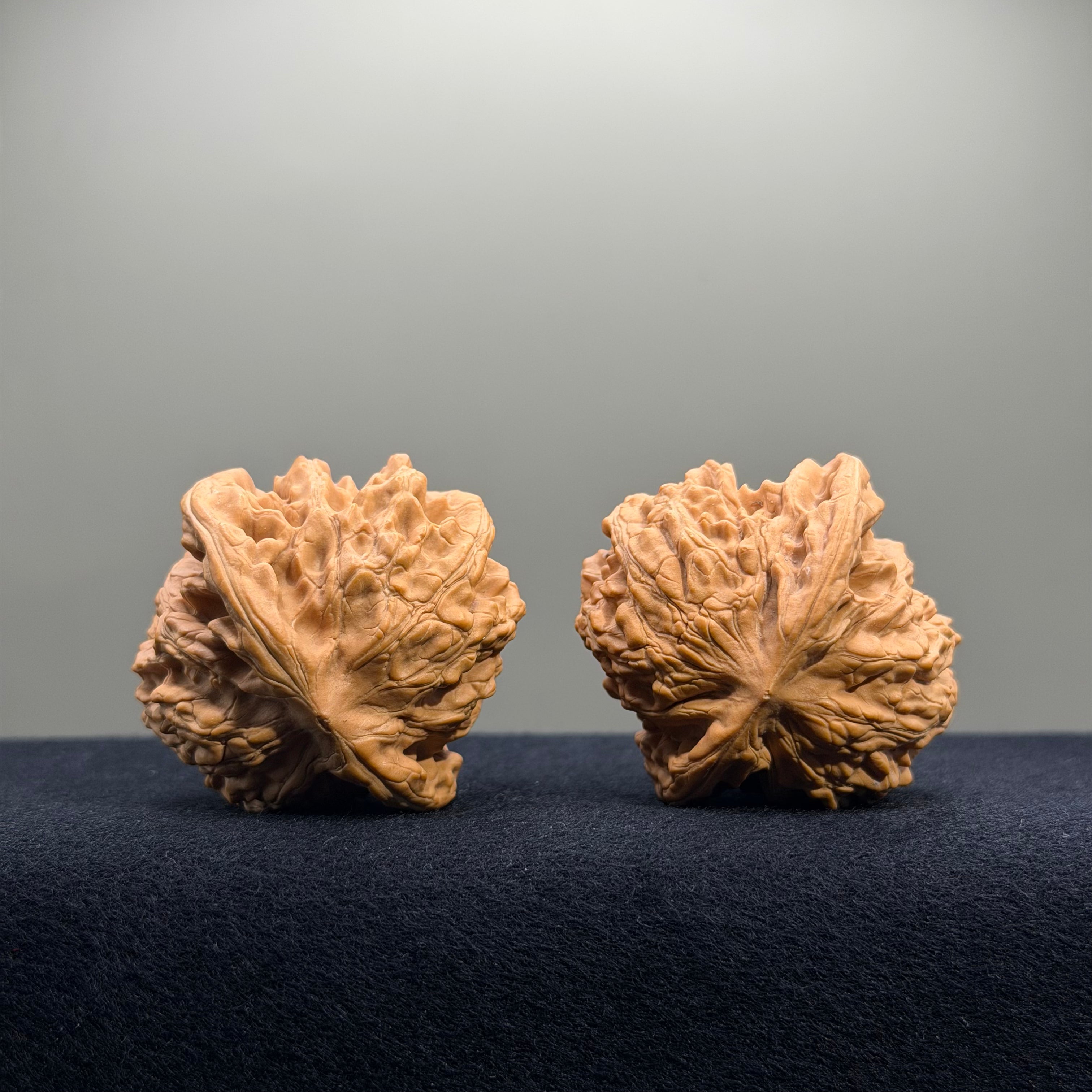 Coiled Dragon Tiger Head Wenwan Walnut · 44mm · Natural · Entry Ritual