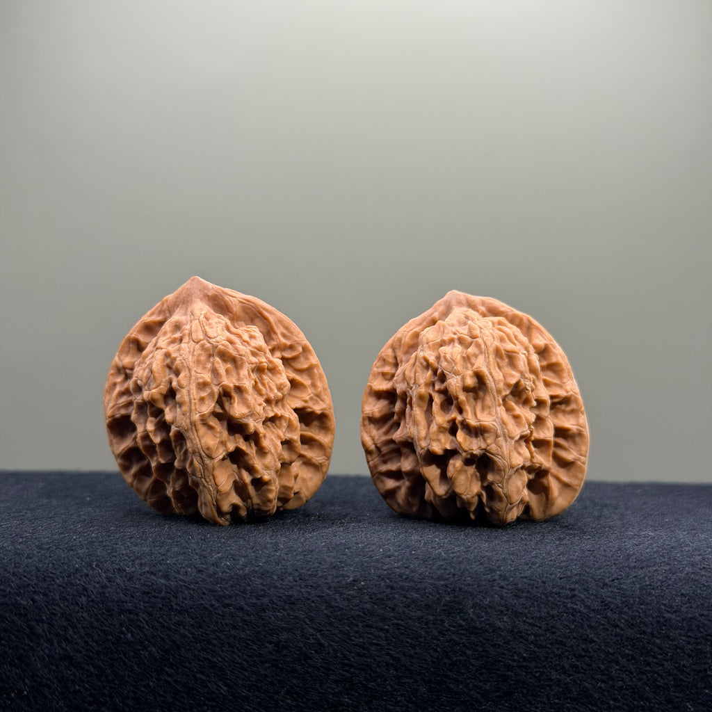 Coiled Dragon Tiger Head Wenwan Walnut · 36mm · Natural · Entry Ritual