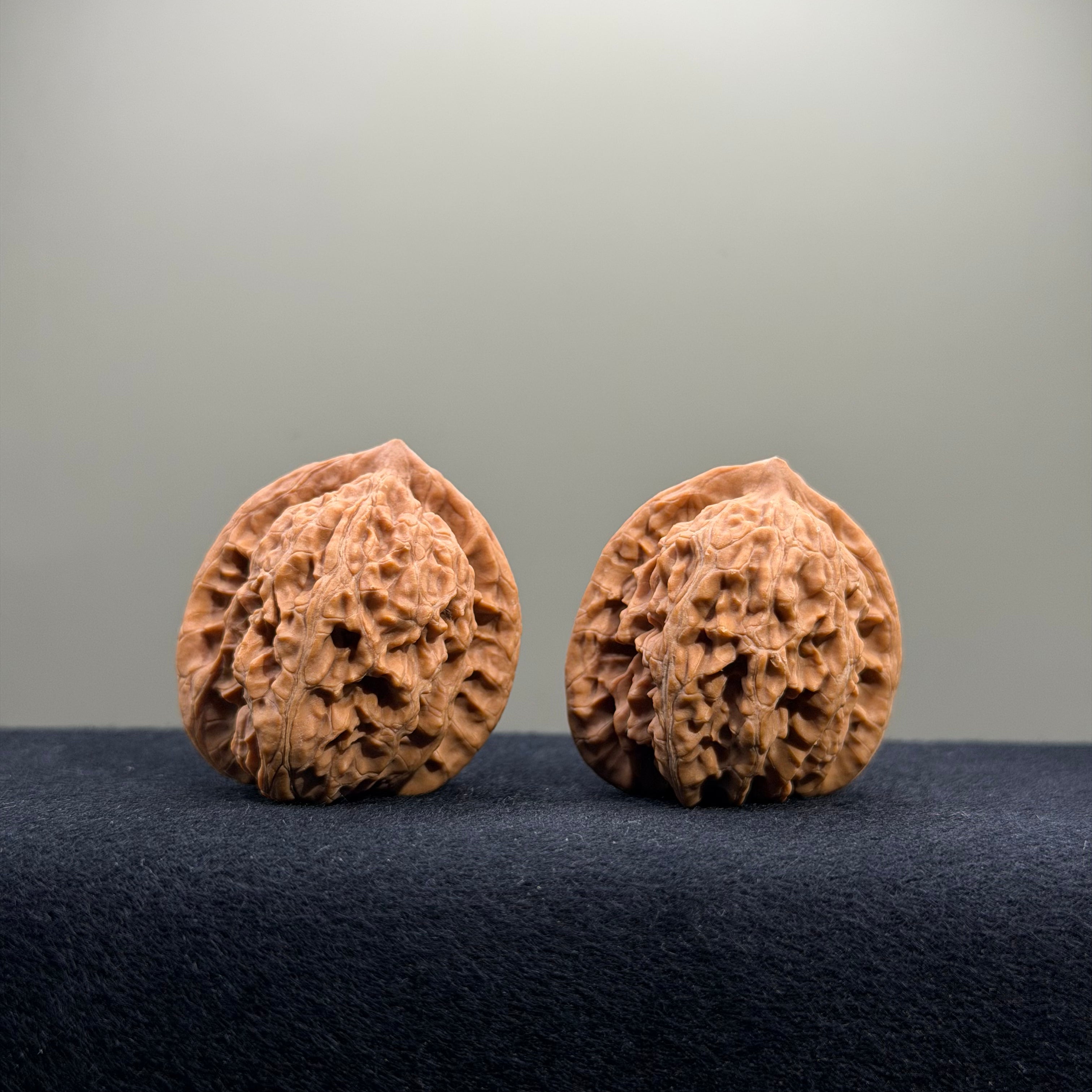 Coiled Dragon Tiger Head Wenwan Walnut · 36mm · Natural · Entry Ritual