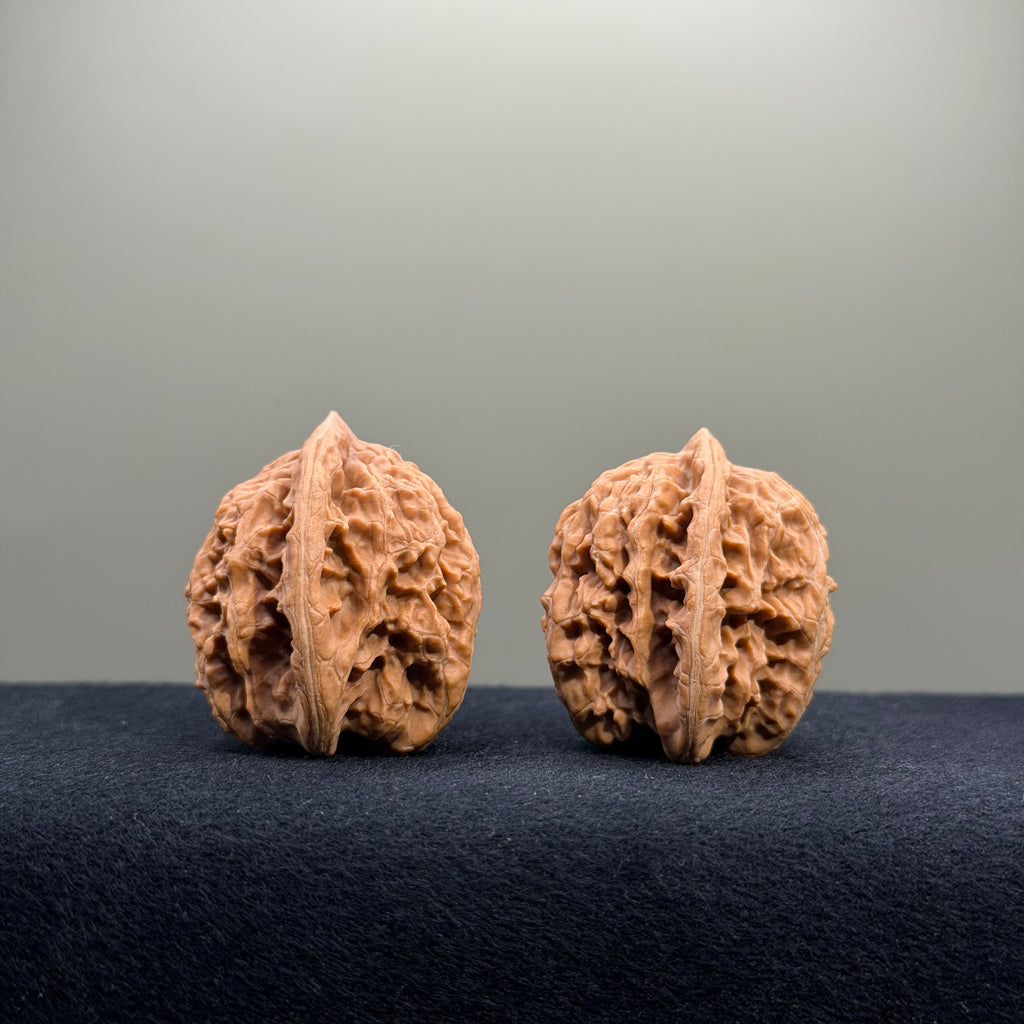 Coiled Dragon Tiger Head Wenwan Walnut · 36mm · Natural · Entry Ritual