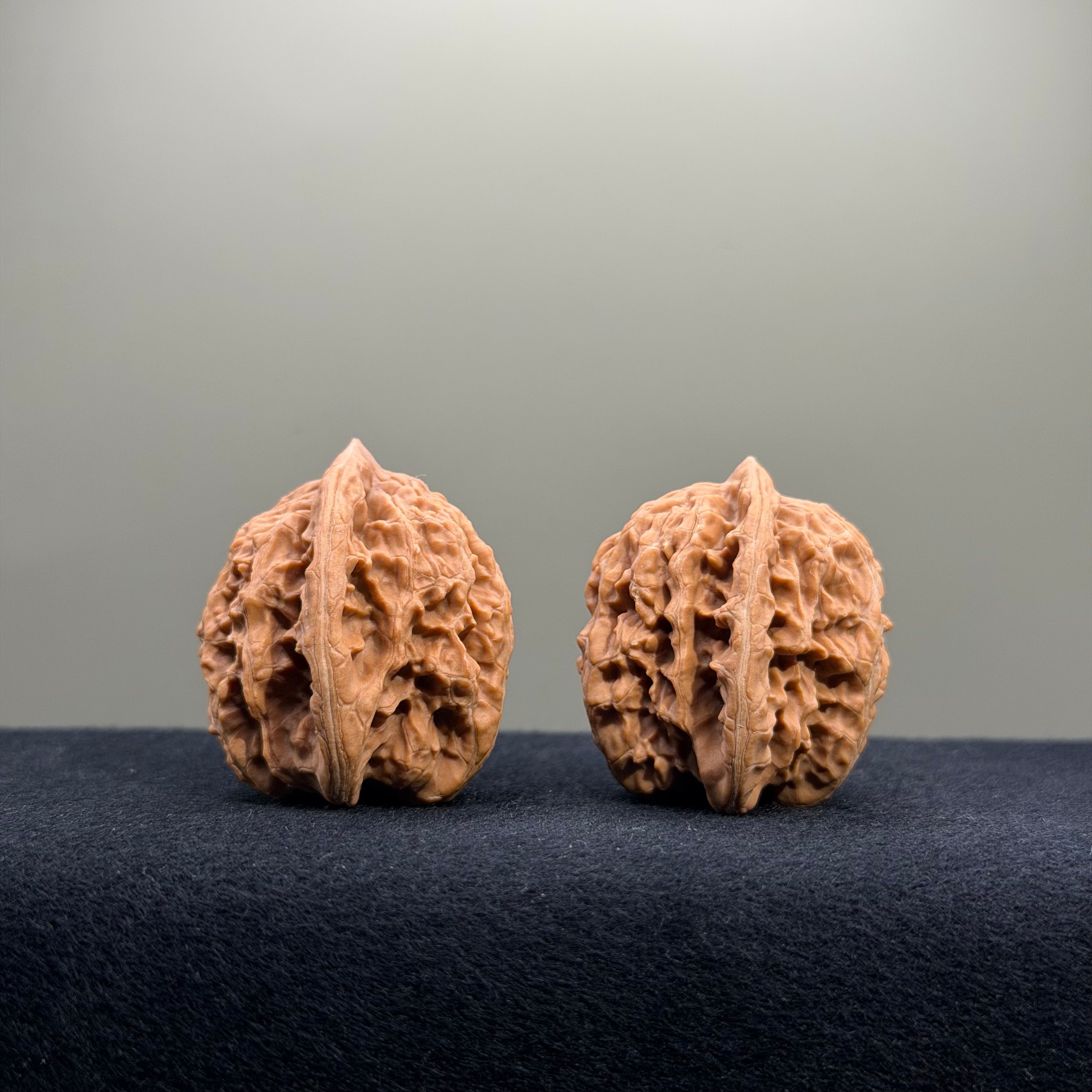 Coiled Dragon Tiger Head Wenwan Walnut · 36mm · Natural · Entry Ritual