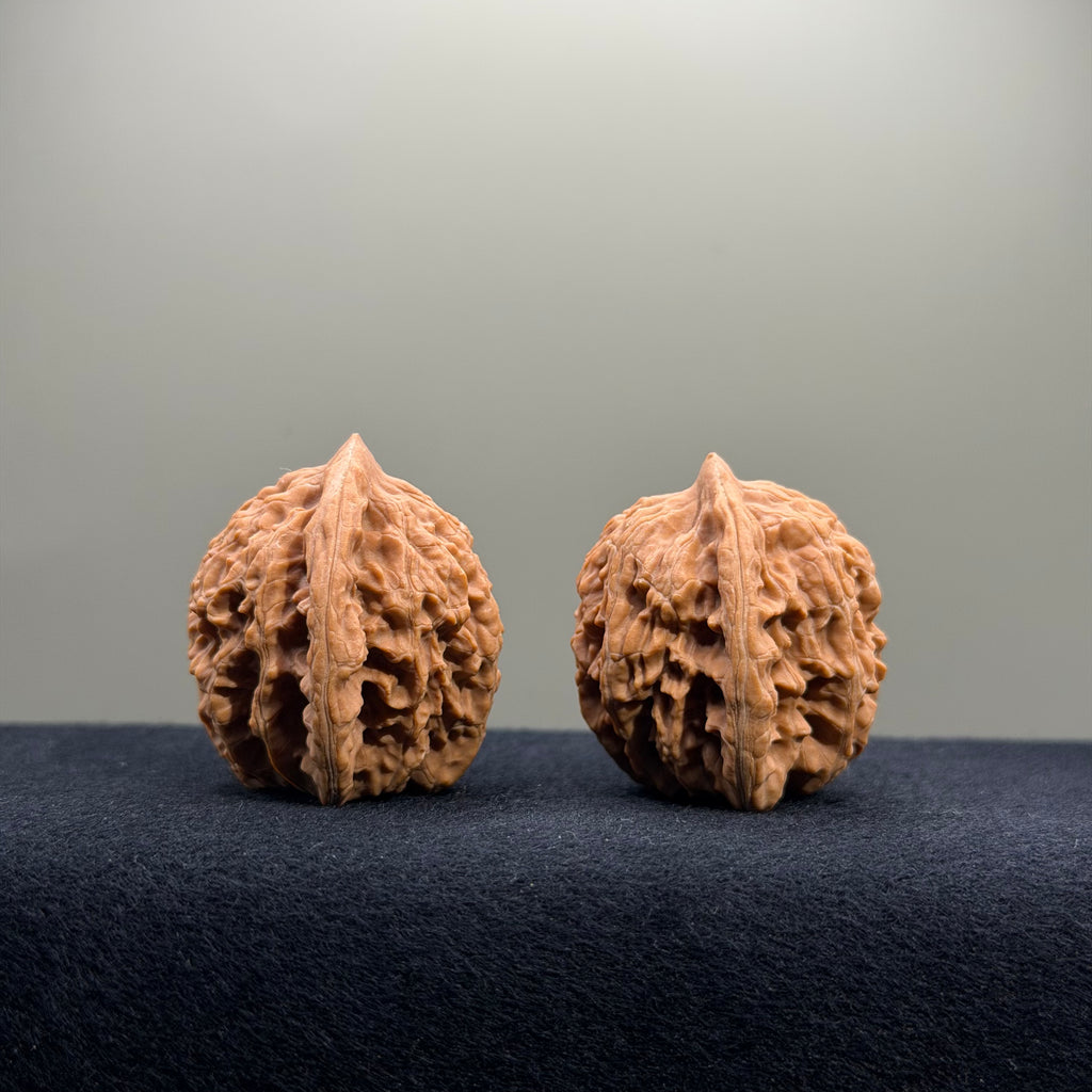 Coiled Dragon Tiger Head Wenwan Walnut · 36mm · Natural · Entry Ritual