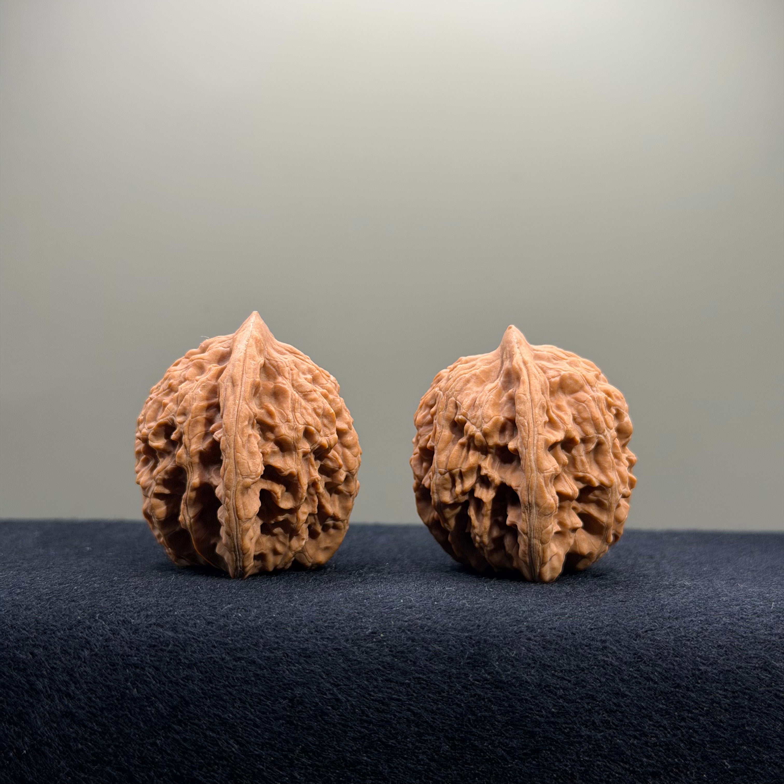 Coiled Dragon Tiger Head Wenwan Walnut · 36mm · Natural · Entry Ritual
