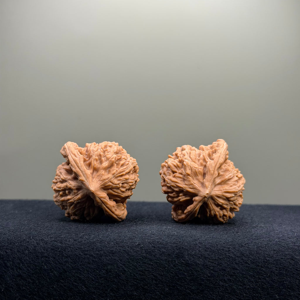 Coiled Dragon Tiger Head Wenwan Walnut · 36mm · Natural · Entry Ritual