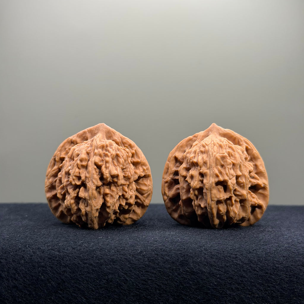 Coiled Dragon Tiger Head Wenwan Walnut · 38mm · Natural · Entry Ritual