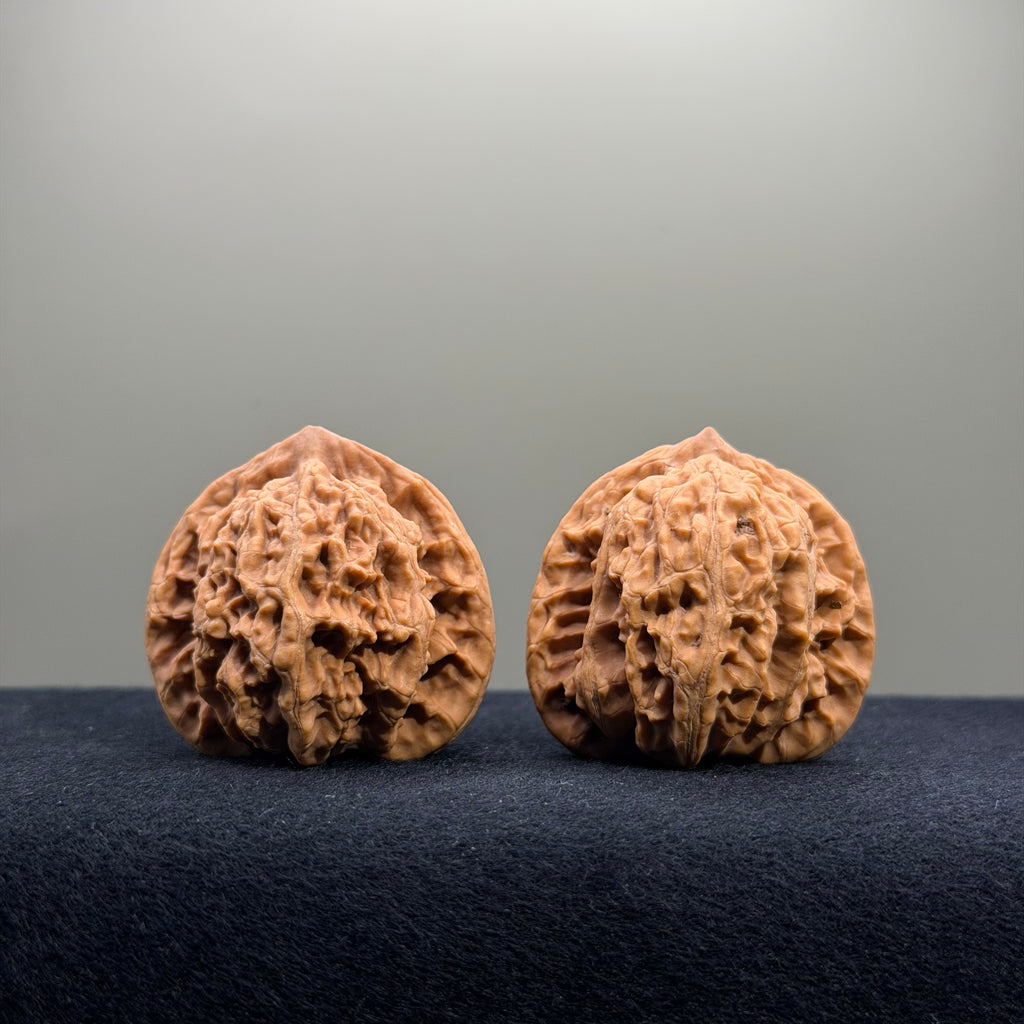 Coiled Dragon Tiger Head Wenwan Walnut · 38mm · Natural · Entry Ritual