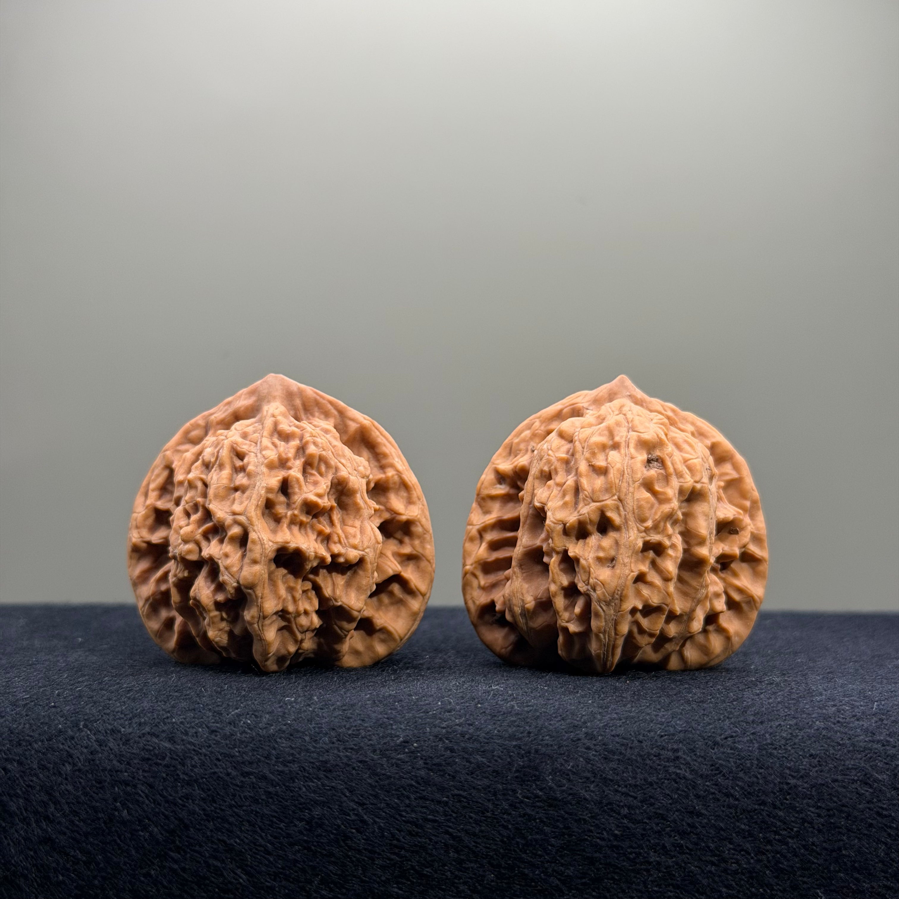 Coiled Dragon Tiger Head Wenwan Walnut · 38mm · Natural · Entry Ritual