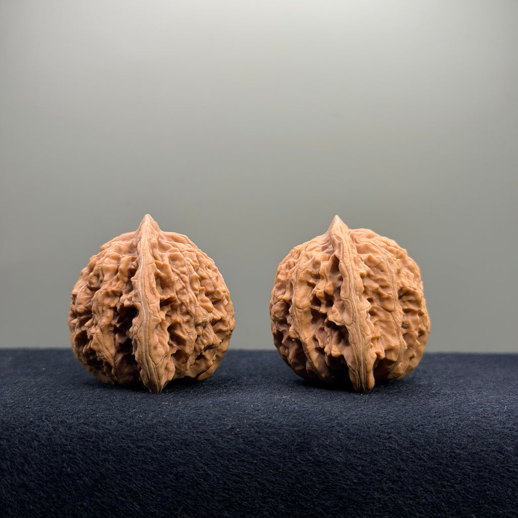 Coiled Dragon Tiger Head Wenwan Walnut · 38mm · Natural · Entry Ritual