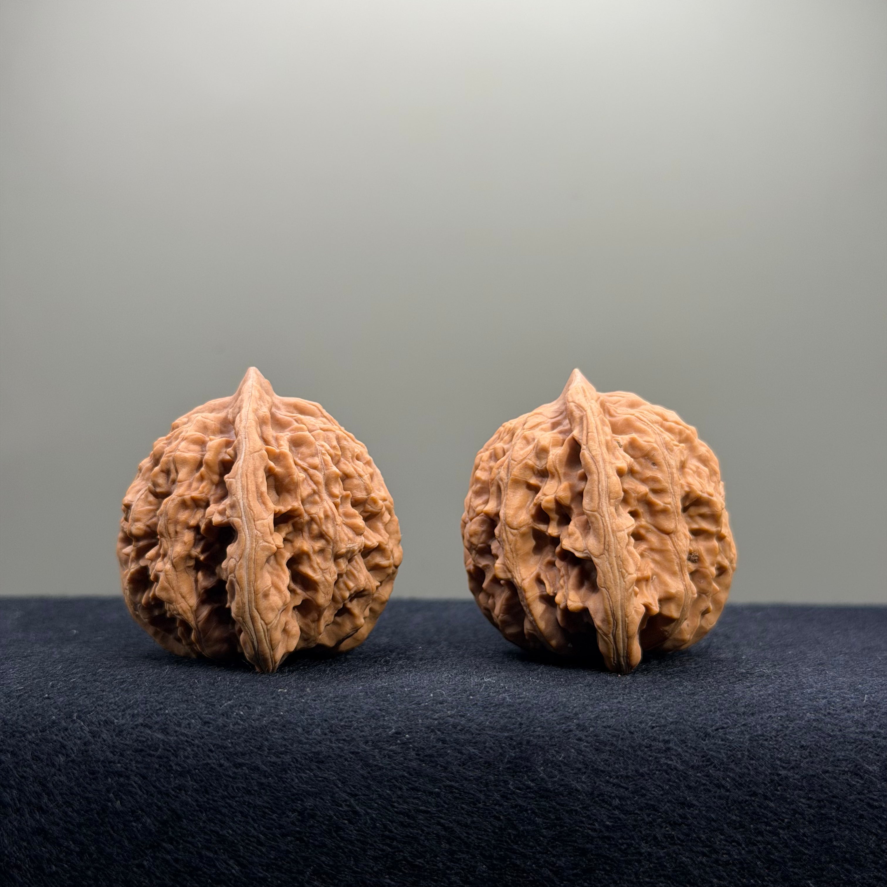 Coiled Dragon Tiger Head Wenwan Walnut · 38mm · Natural · Entry Ritual
