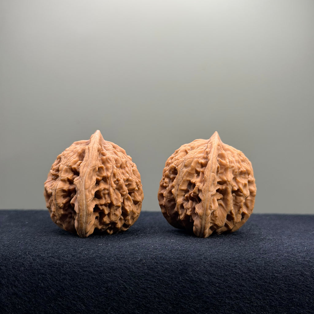 Coiled Dragon Tiger Head Wenwan Walnut · 38mm · Natural · Entry Ritual