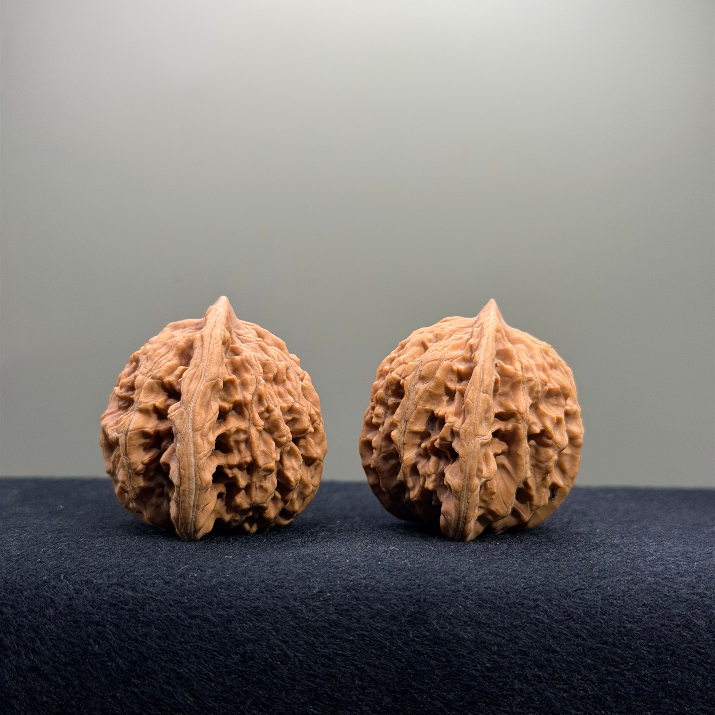 Coiled Dragon Tiger Head Wenwan Walnut · 38mm · Natural · Entry Ritual