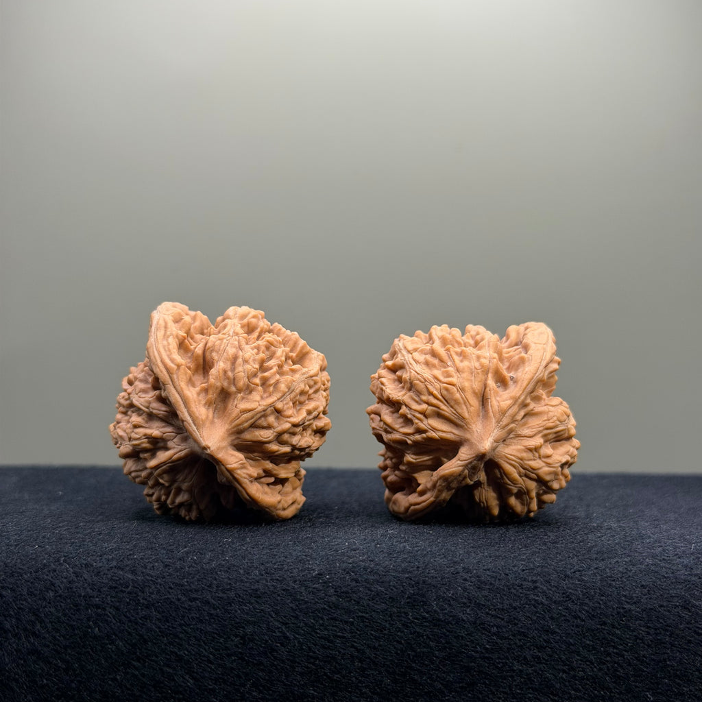 Coiled Dragon Tiger Head Wenwan Walnut · 38mm · Natural · Entry Ritual