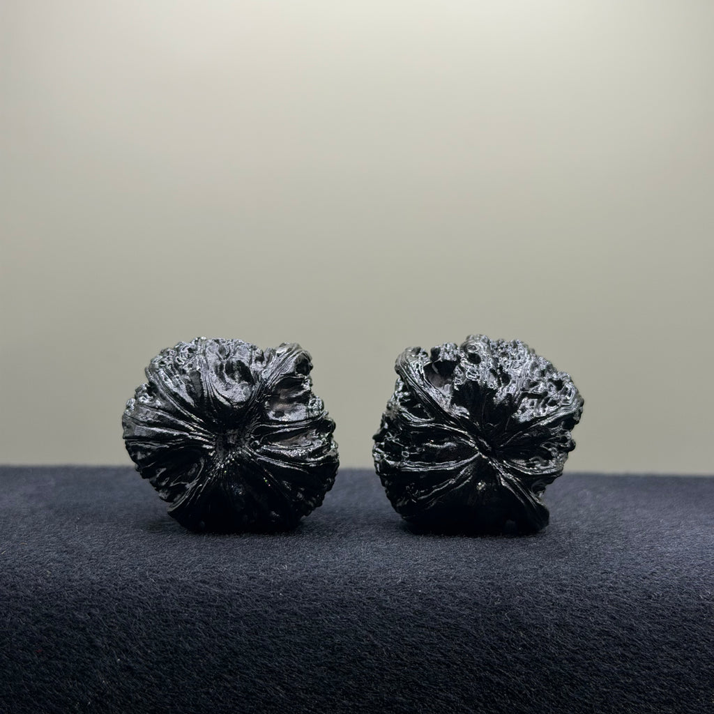 Ground Buried White Lion Wenwan Walnut · 34mm · Select Ritual