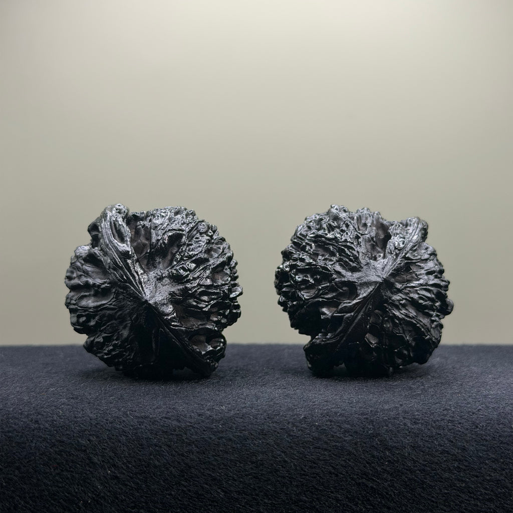 Ground Buried Official Hat Wenwan Walnut · 44mm · Select Ritual