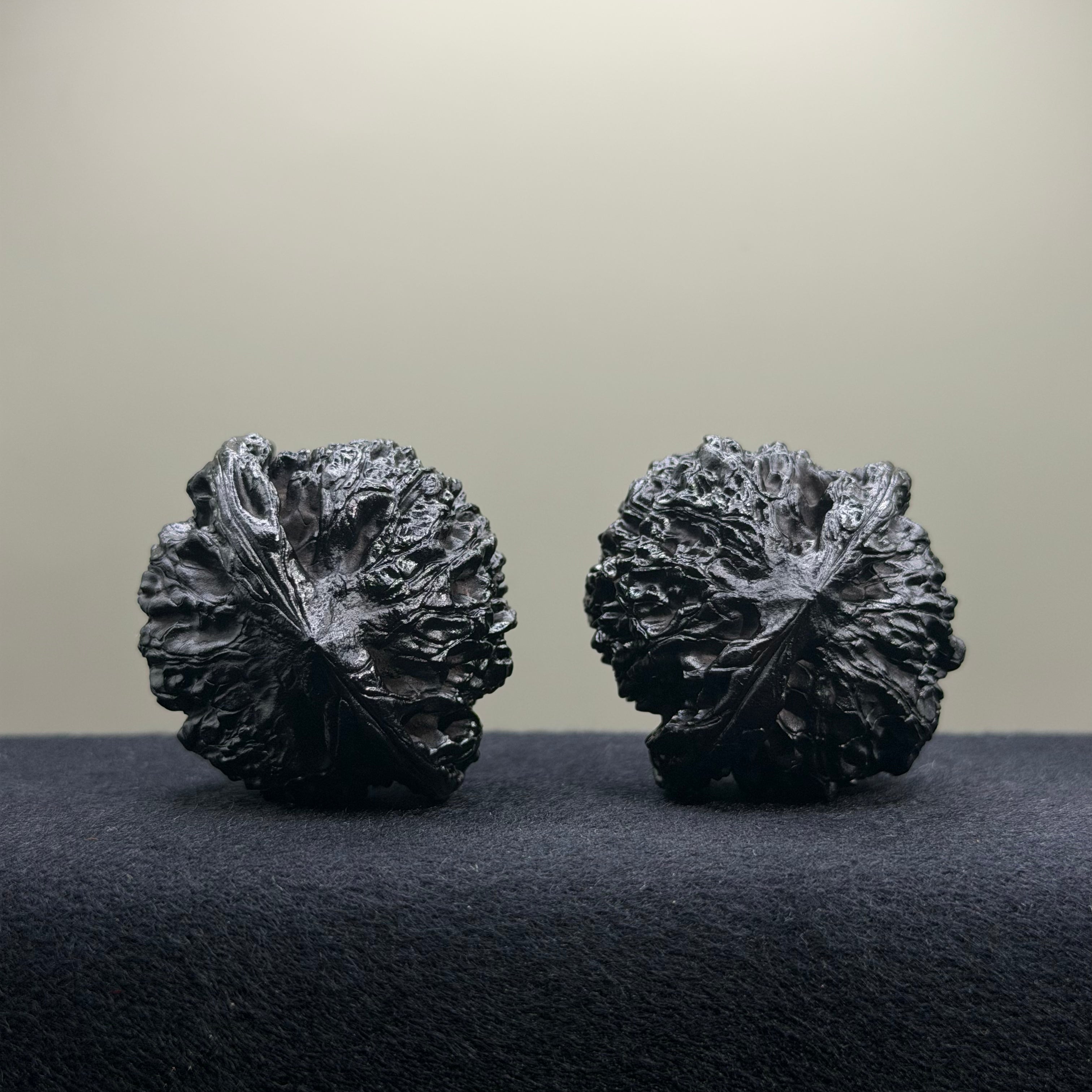 Ground Buried Official Hat Wenwan Walnut · 44mm · Select Ritual