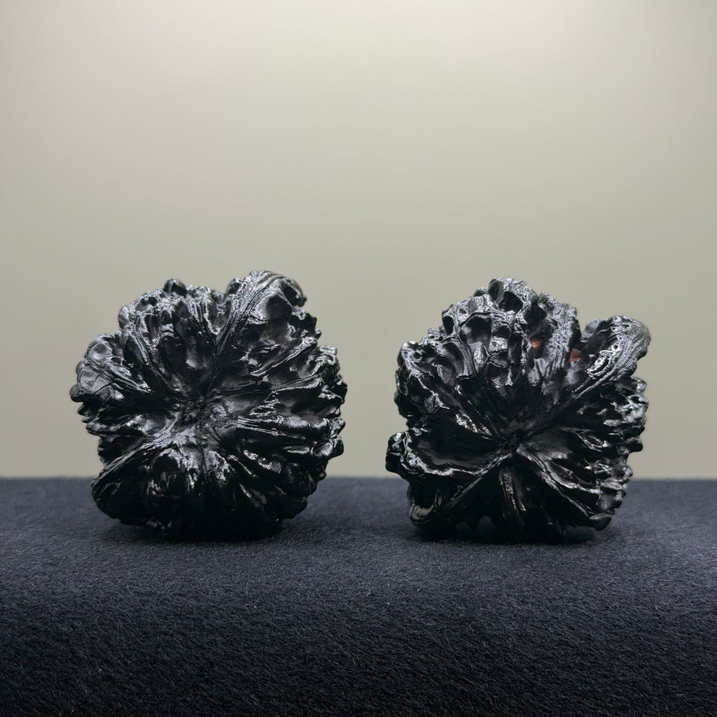 Ground Buried Official Hat Wenwan Walnut · 48mm · Select Ritual