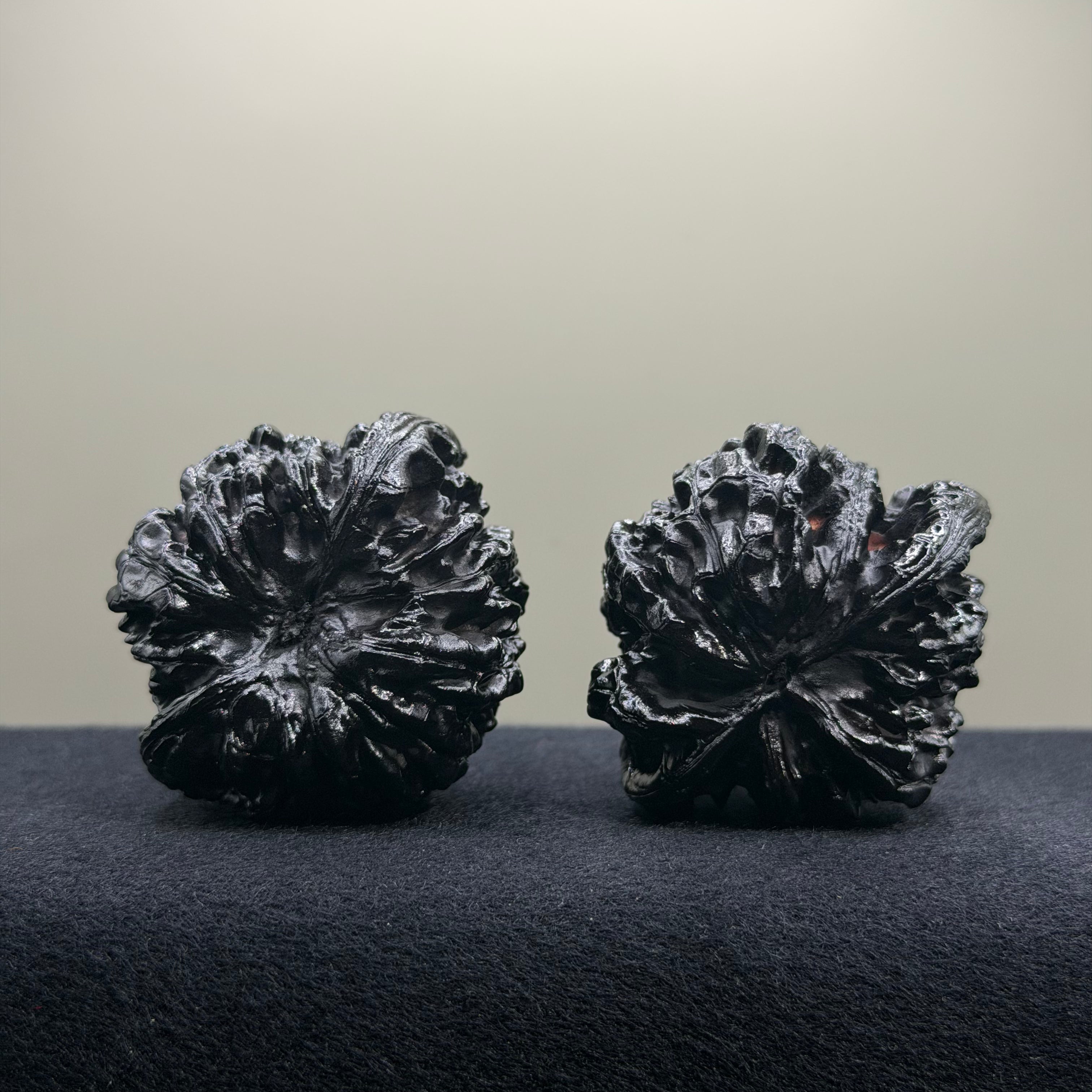 Ground Buried Official Hat Wenwan Walnut · 48mm · Select Ritual