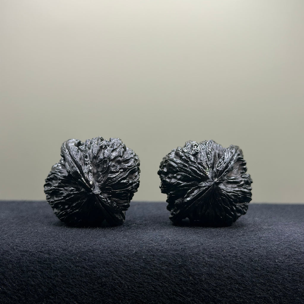Ground Buried White Lion Wenwan Walnut · 34mm · Select Ritual