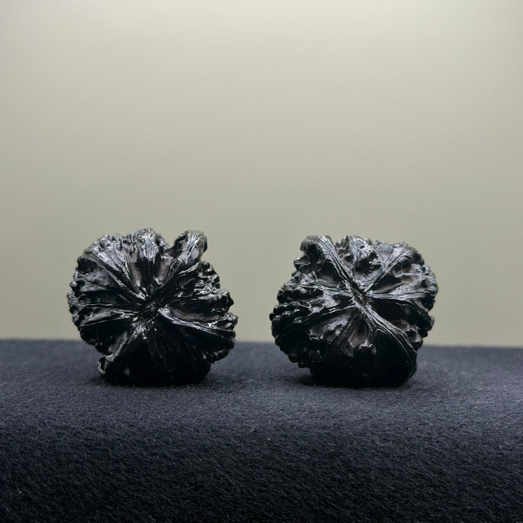 Ground Buried White Lion Wenwan Walnut · 34mm · Select Ritual