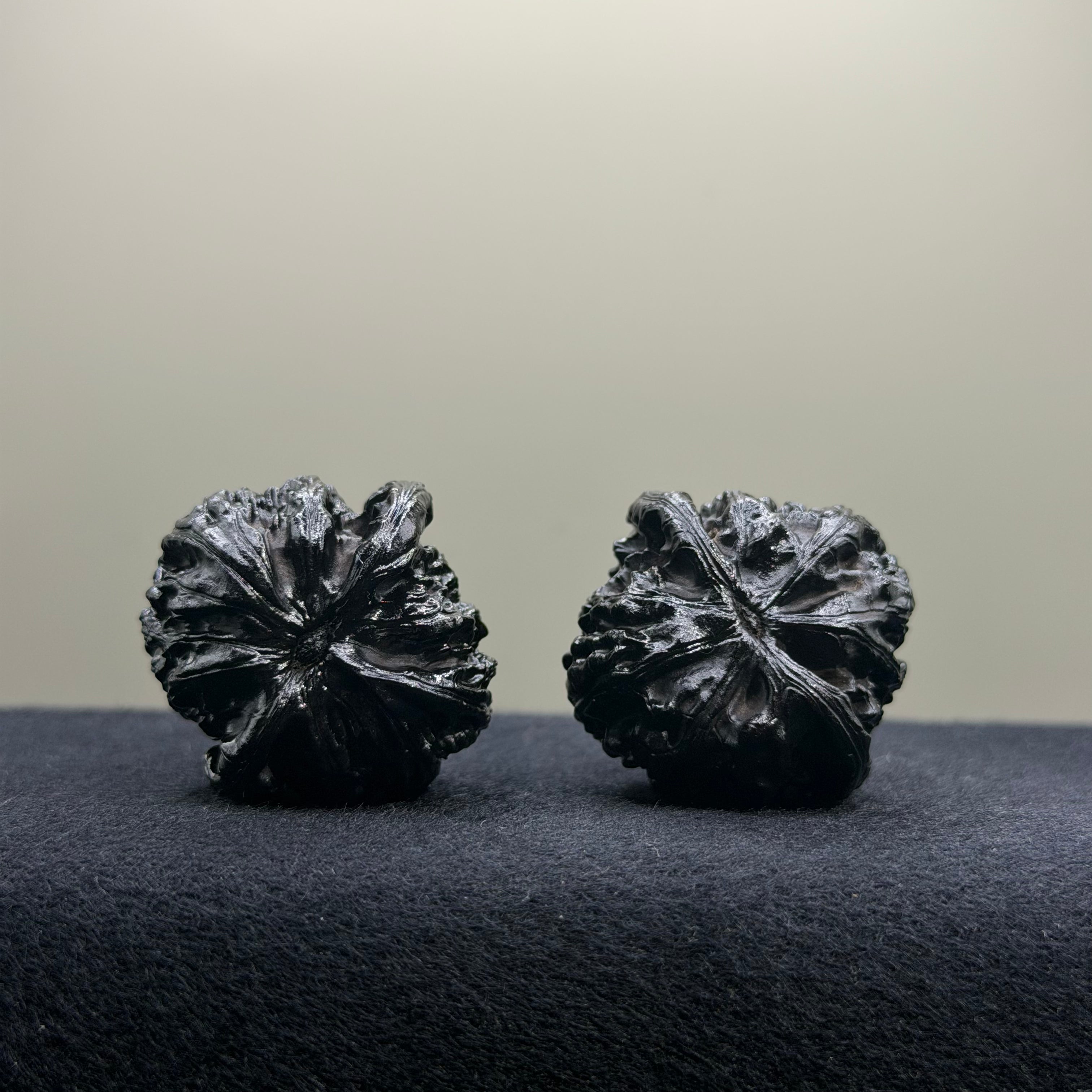 Ground Buried White Lion Wenwan Walnut · 34mm · Select Ritual