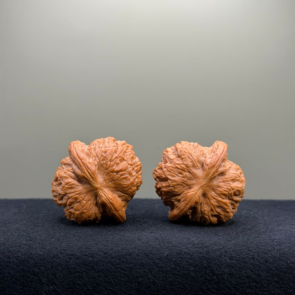 Blood Kirin Wenwan Walnut · 37mm · Select Ritual