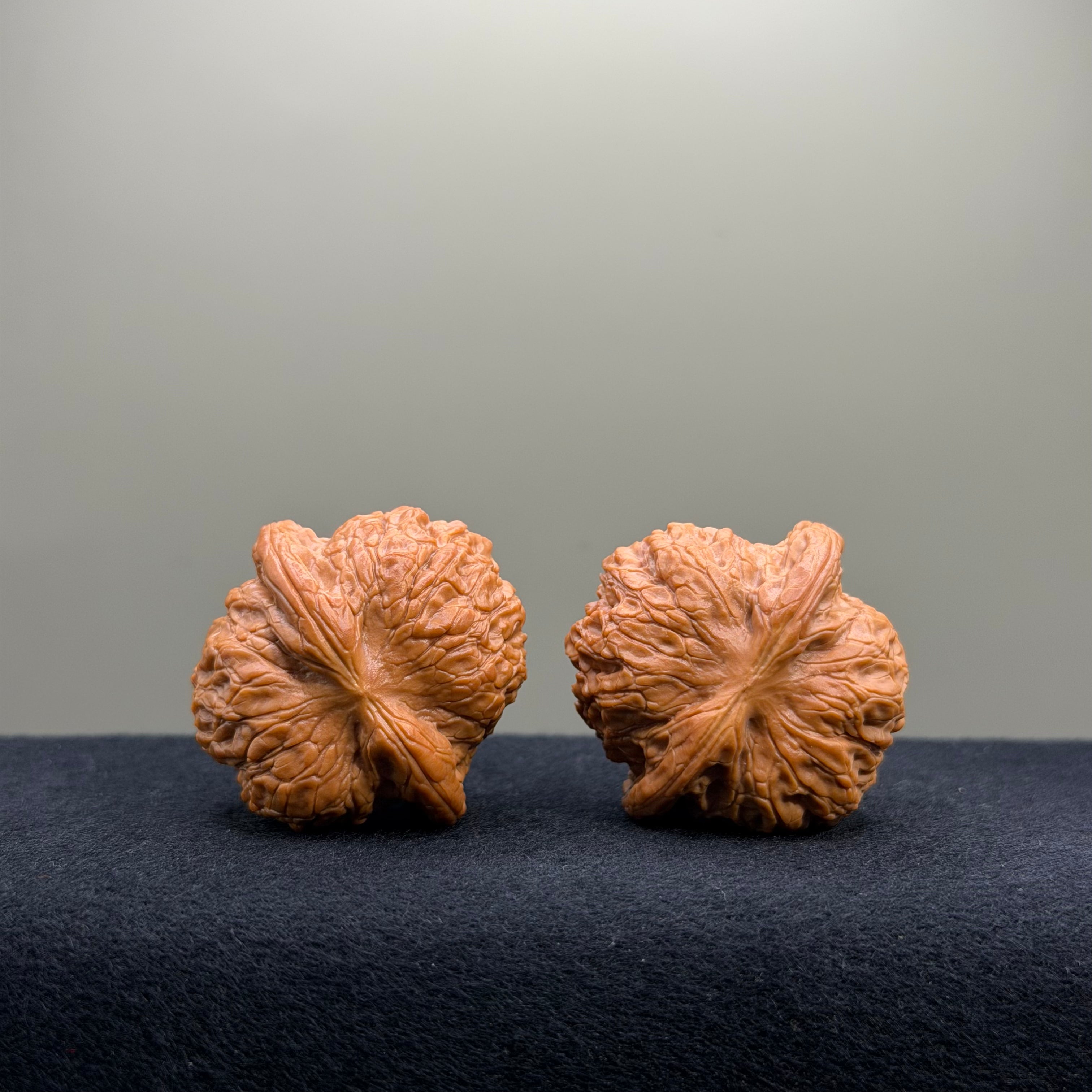 Blood Kirin Wenwan Walnut · 37mm · Select Ritual