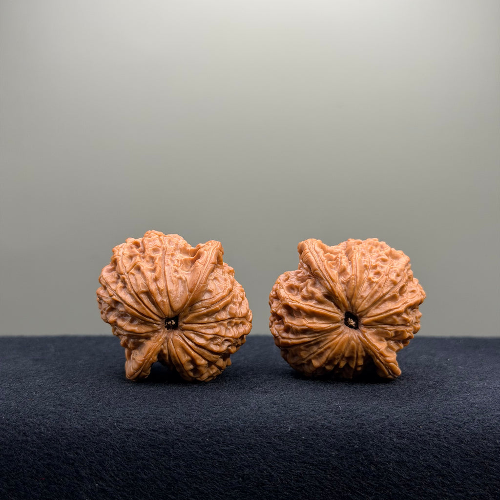 Blood Kirin Wenwan Walnut · 37mm · Select Ritual