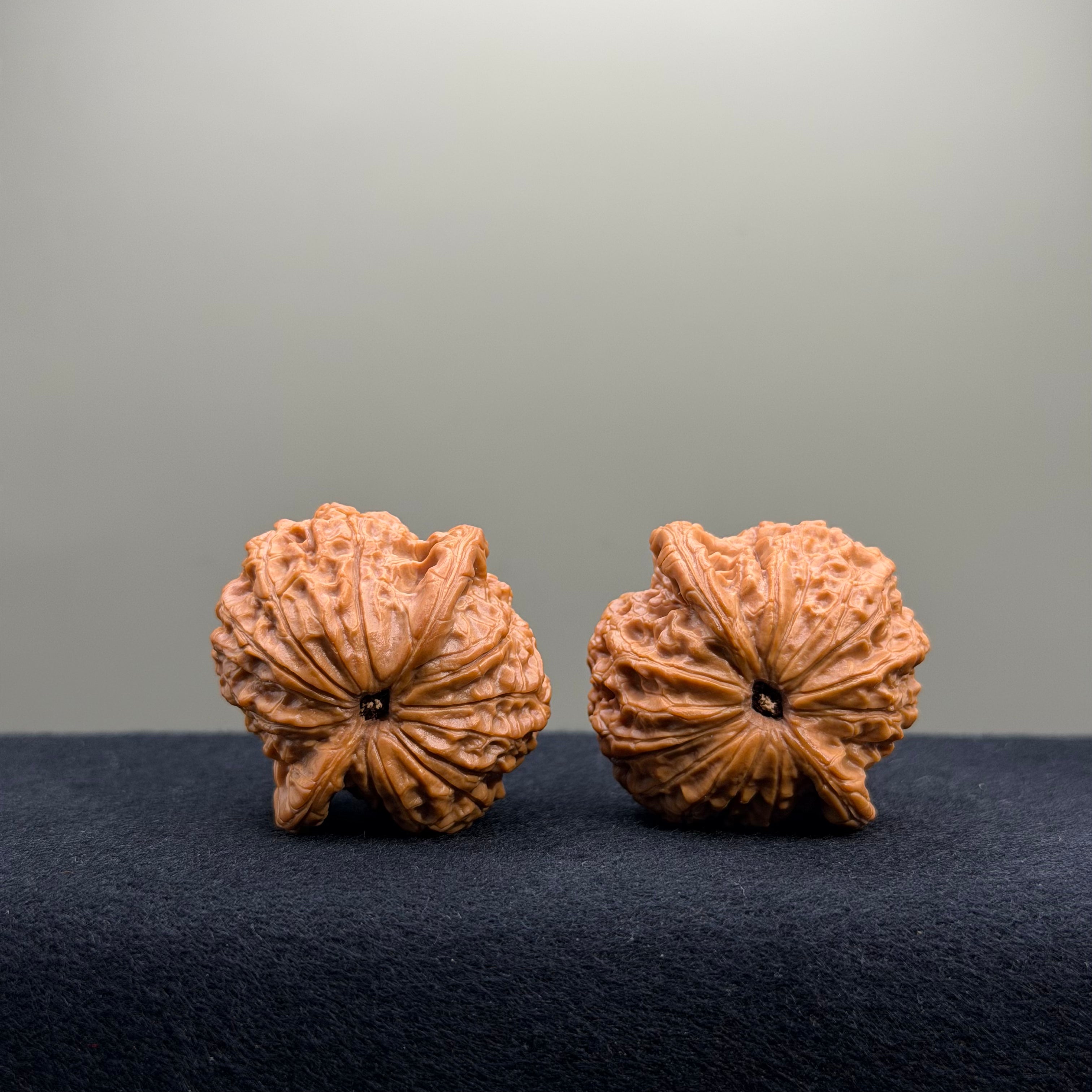 Blood Kirin Wenwan Walnut · 37mm · Select Ritual