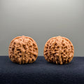 Four Towers Wenwan Walnut · 39mm · Select Ritual