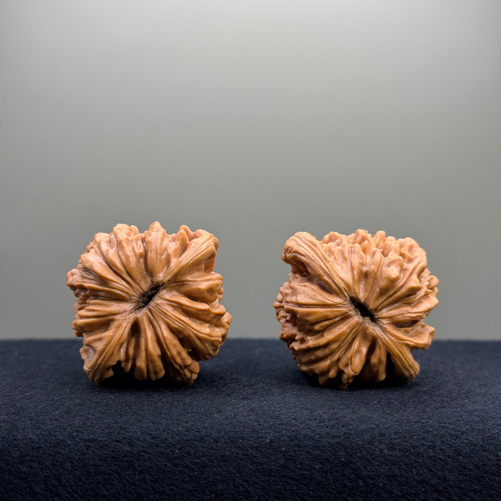 Four Towers Wenwan Walnut · 39mm · Select Ritual
