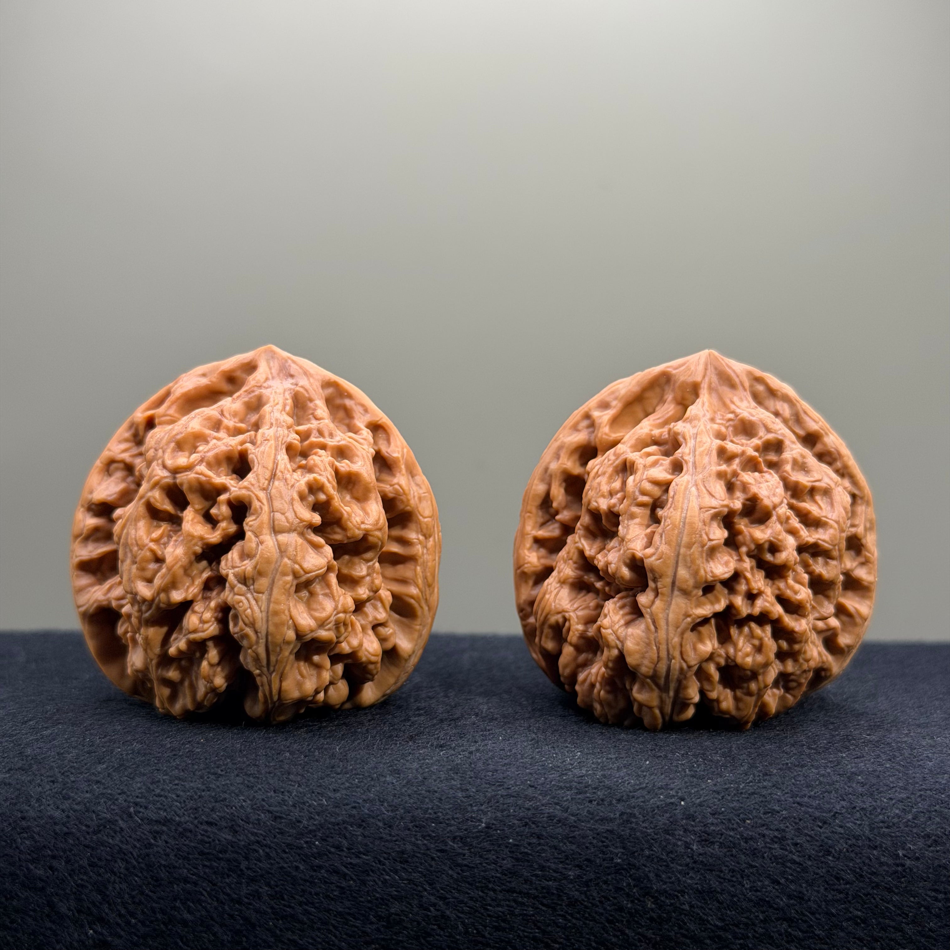 Bold Ridge Wenwan Walnut · 43mm · Select Ritual