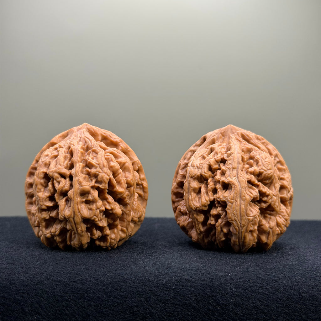 Bold Ridge Wenwan Walnut · 43mm · Select Ritual