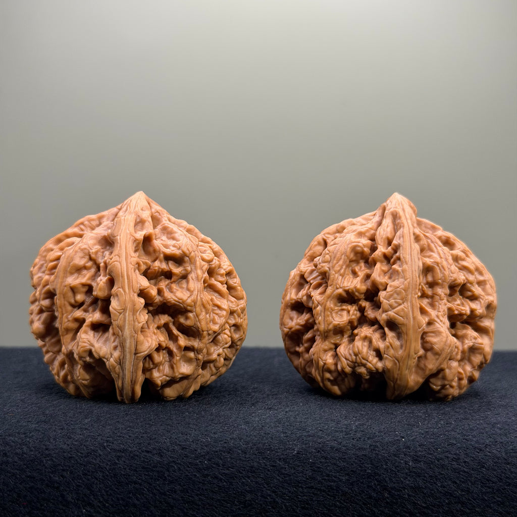 Bold Ridge Wenwan Walnut · 43mm · Select Ritual
