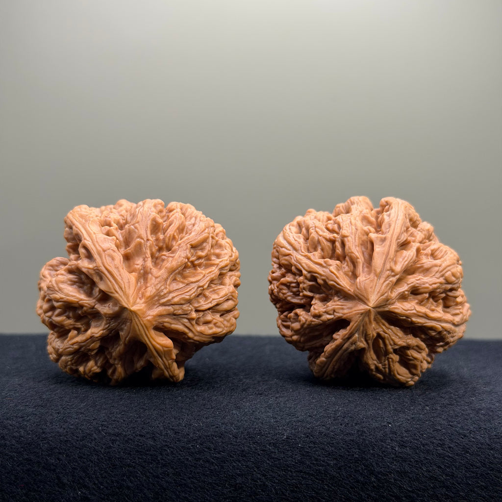 Bold Ridge Wenwan Walnut · 43mm · Select Ritual