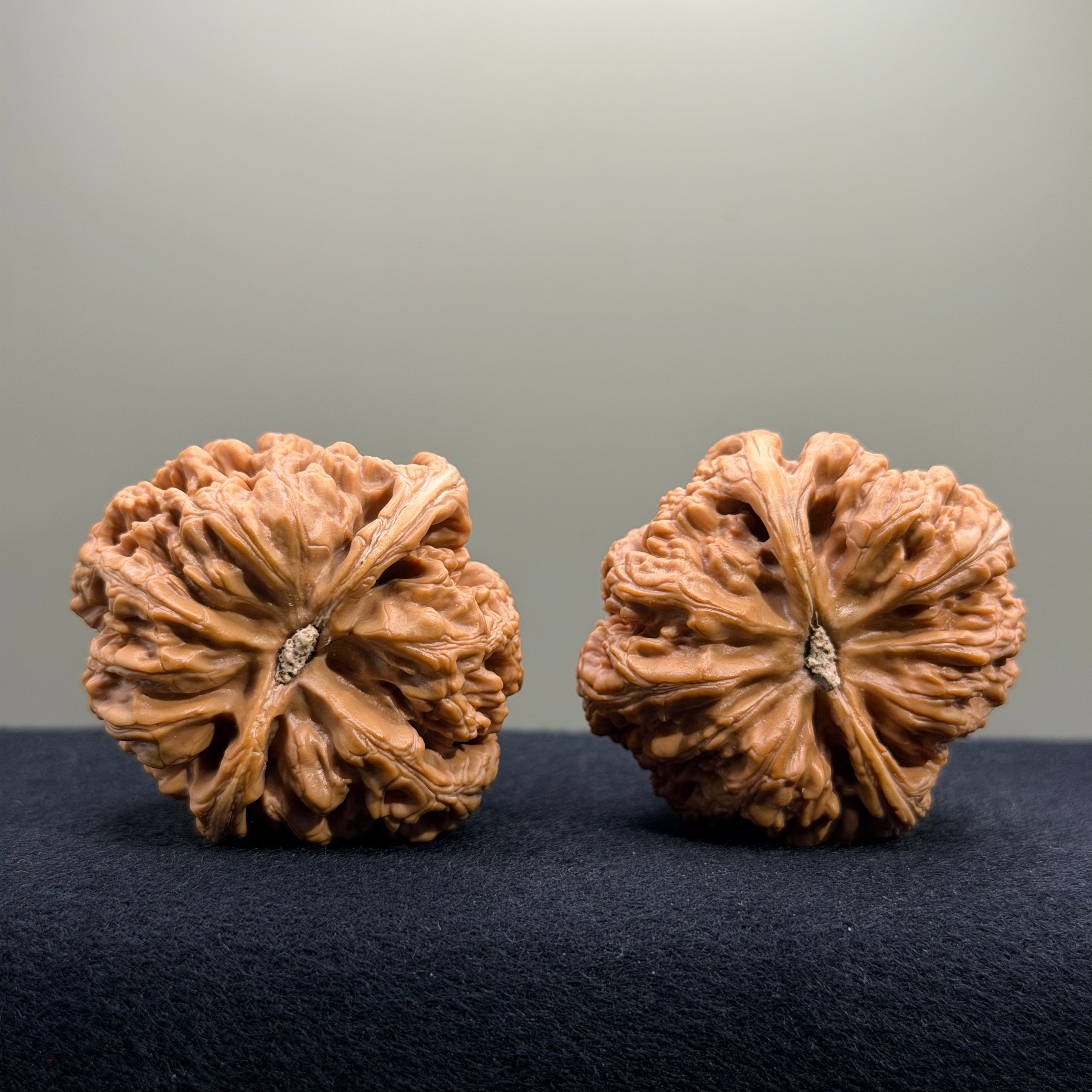 Bold Ridge Wenwan Walnut · 43mm · Select Ritual