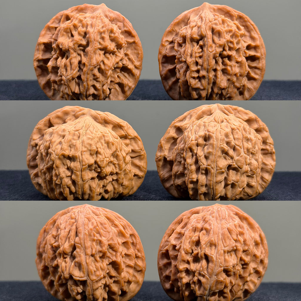 Millstone & Lion & Tiger — Curated Wenwan Walnut Kit