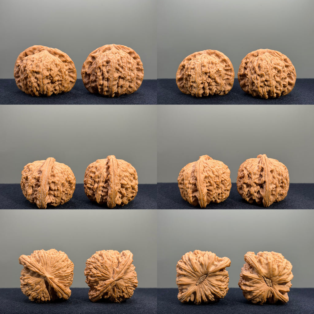 Millstone & Lion & Tiger — Curated Wenwan Walnut Kit