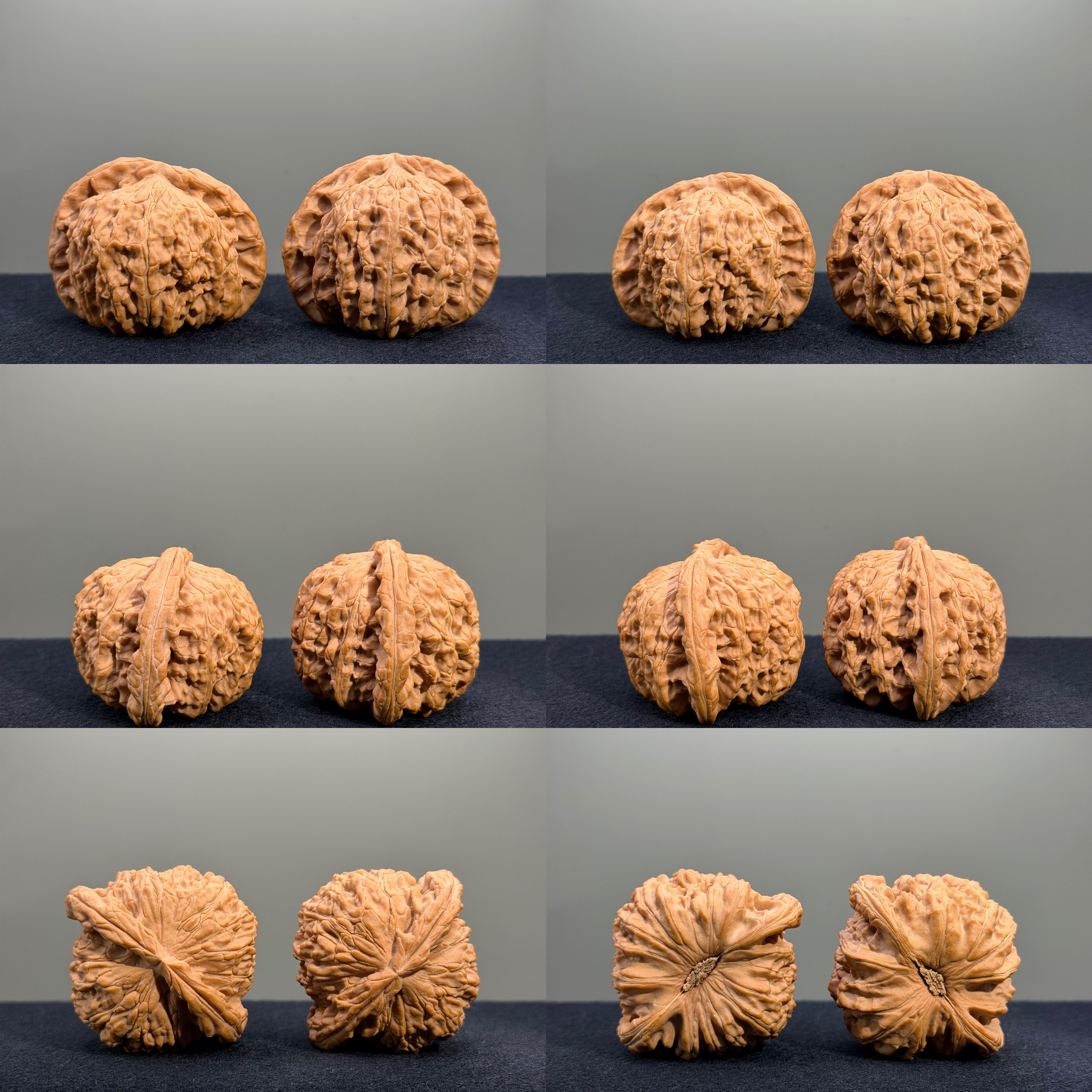 Millstone & Lion & Tiger — Curated Wenwan Walnut Kit