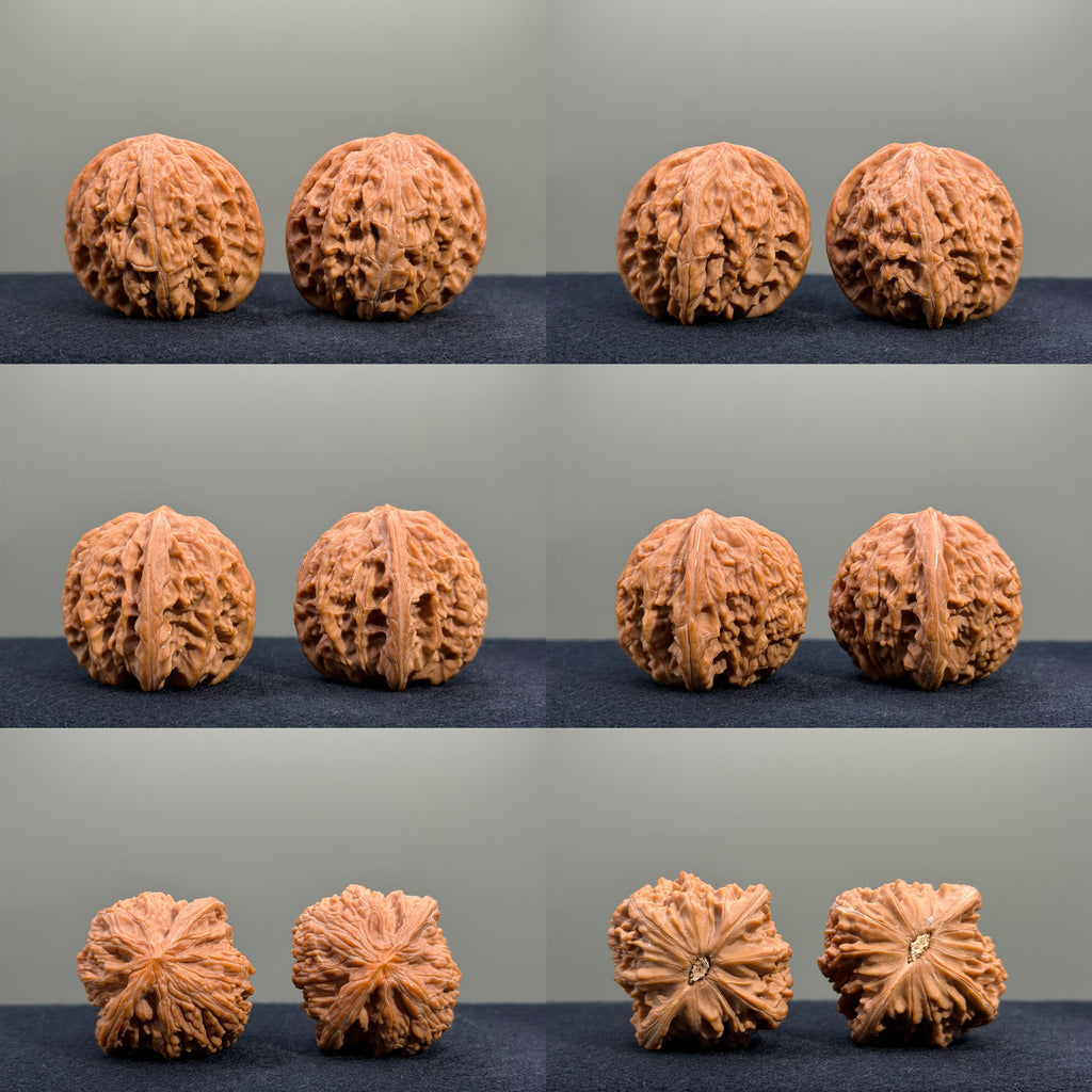 Millstone & Lion & Tiger — Curated Wenwan Walnut Kit