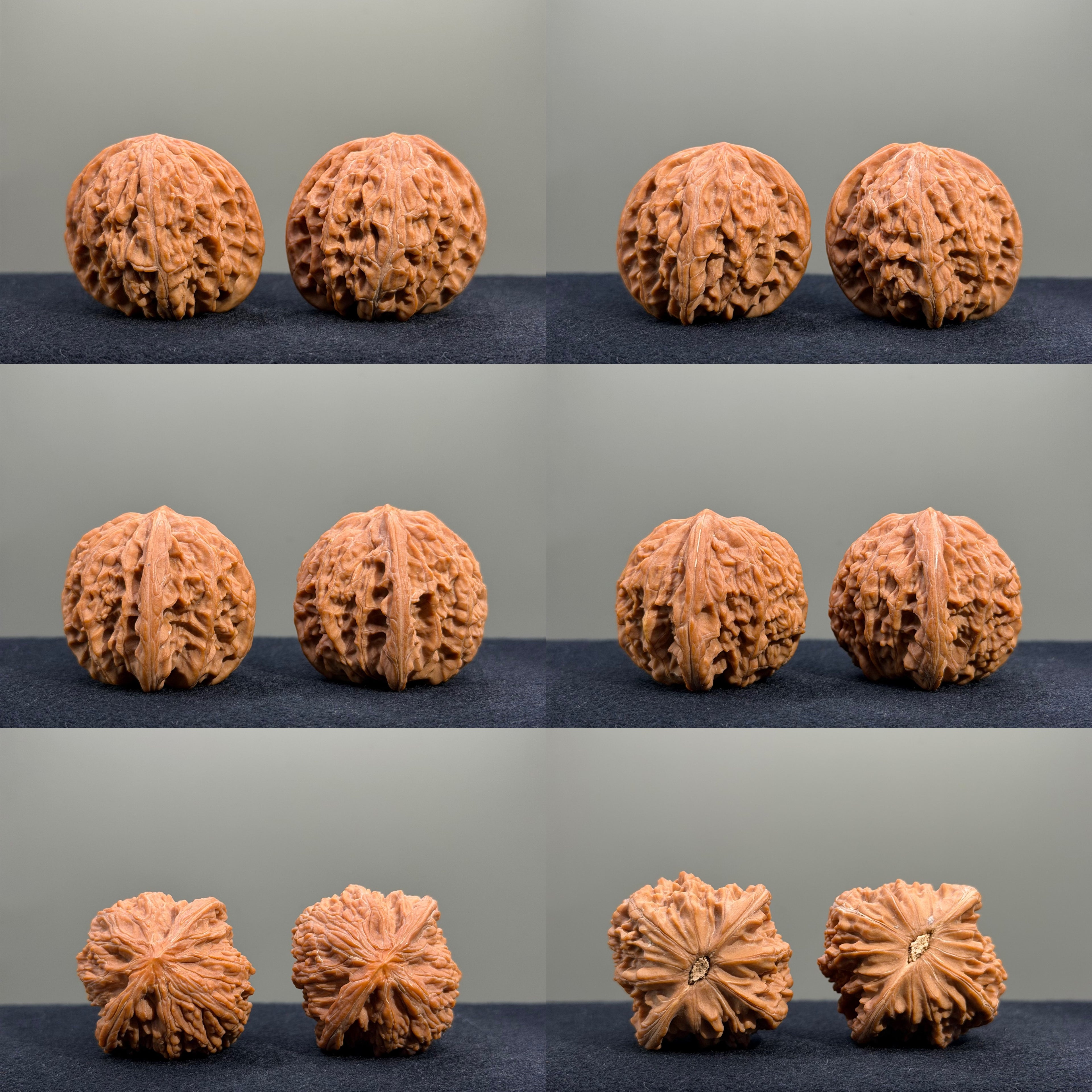 Millstone & Lion & Tiger — Curated Wenwan Walnut Kit