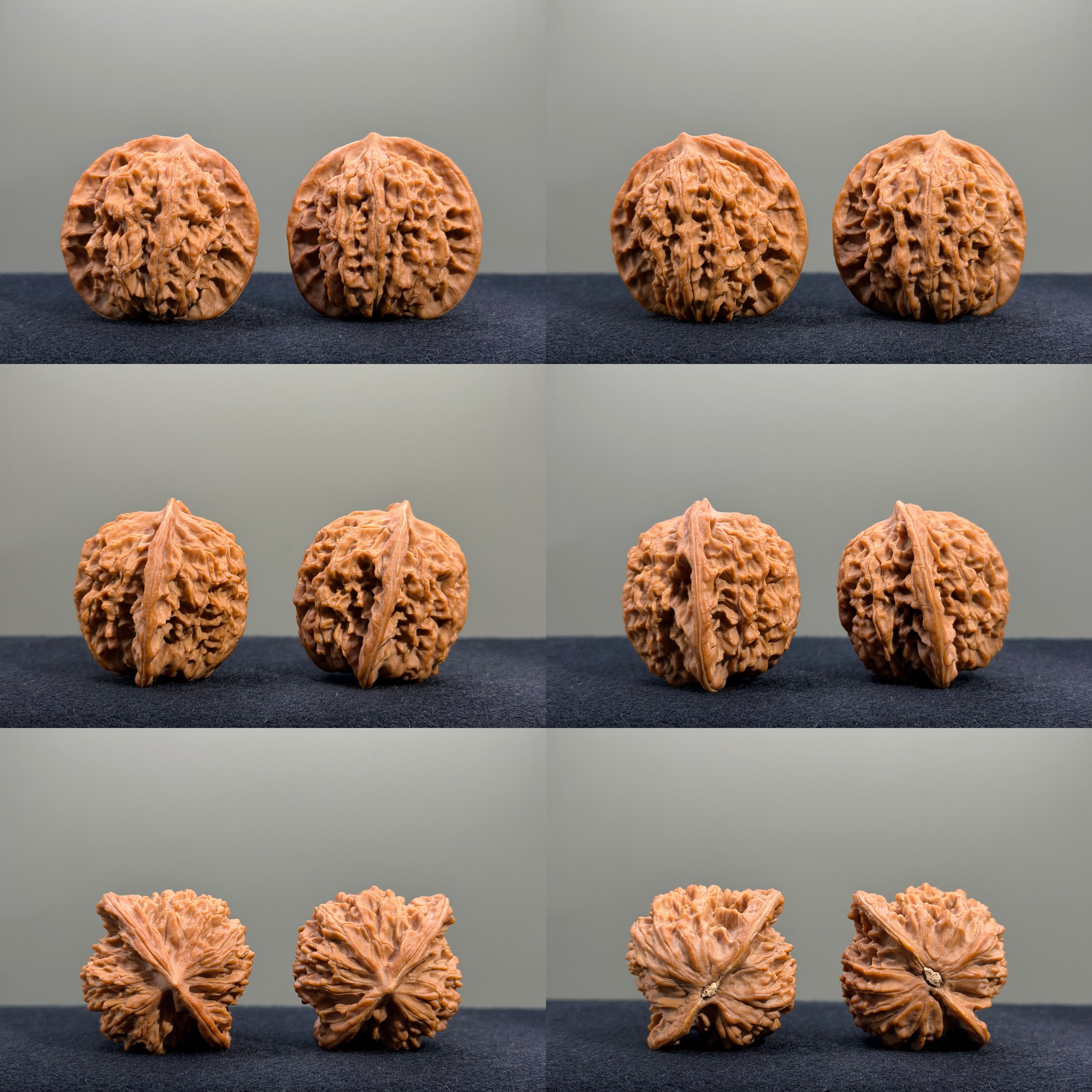 Millstone & Lion & Tiger — Curated Wenwan Walnut Kit