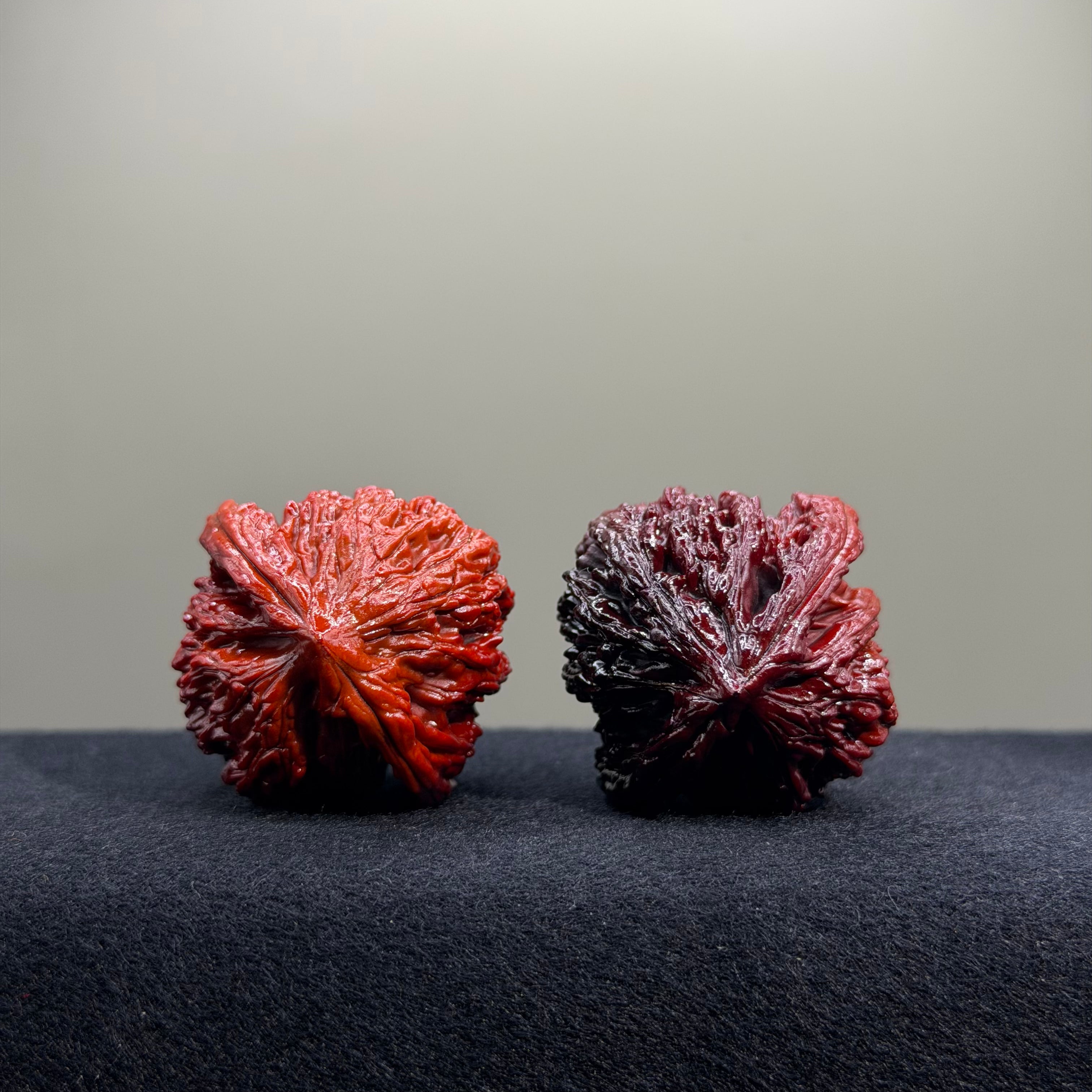 Ground Buried Tiger Head Wenwan Walnut · 39mm · Select Ritual