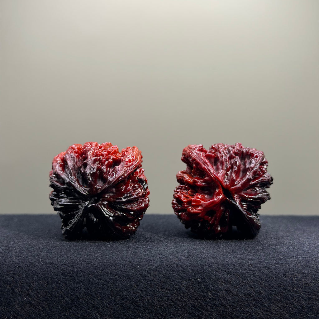 Ground Buried Tiger Head Wenwan Walnut · 39mm · Select Ritual