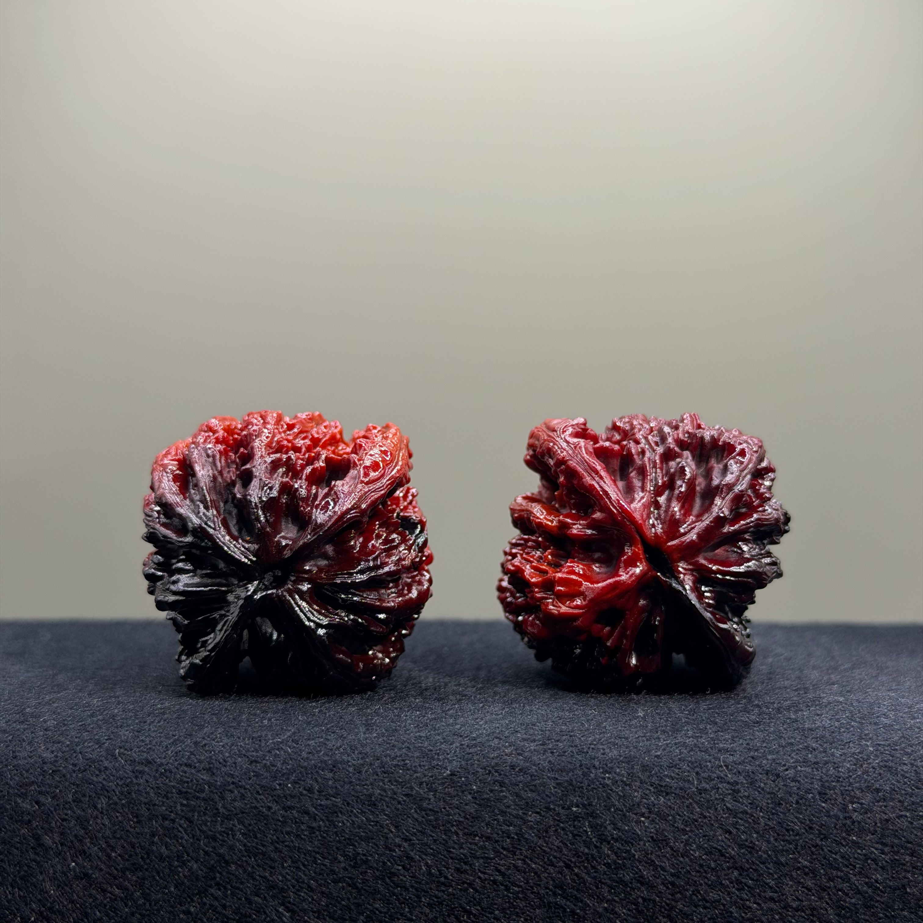 Ground Buried Tiger Head Wenwan Walnut · 39mm · Select Ritual